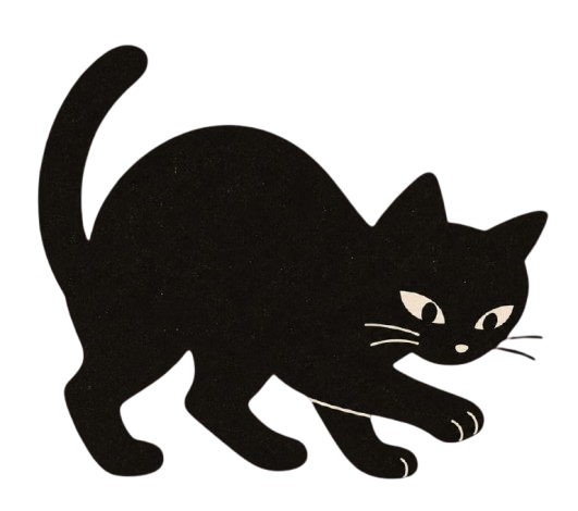 Un chat noir qui joue